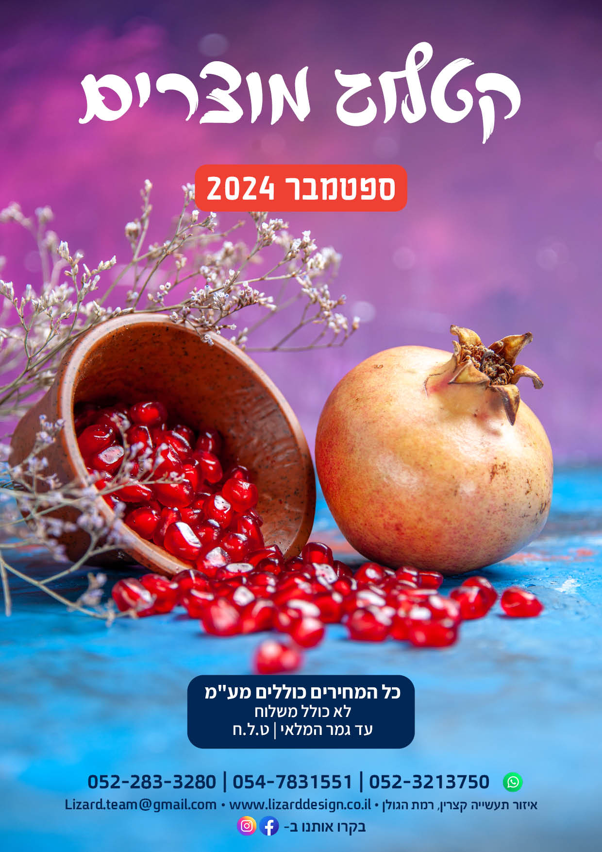 קטלוג ספטמבר ליזרד דיזיין 2024